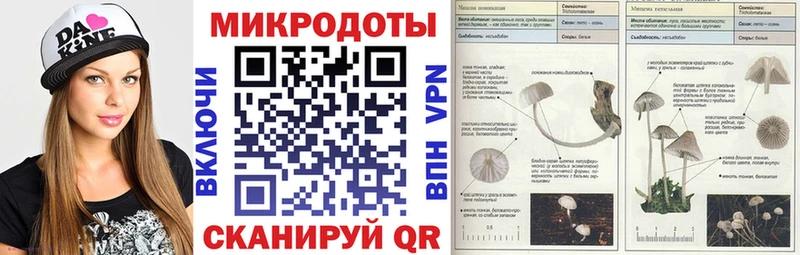Псилоцибиновые грибы Cubensis  mega ссылка  Алзамай 